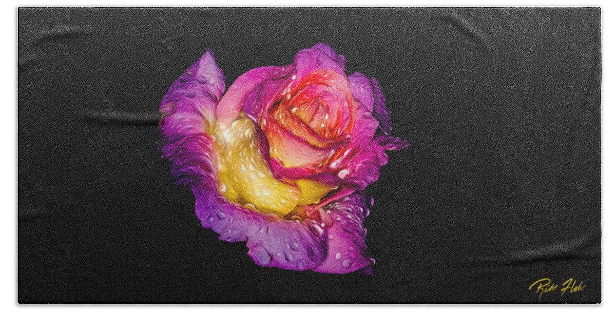 Plants Beach Towel featuring the photograph Rain-melted Rose by Rikk Flohr