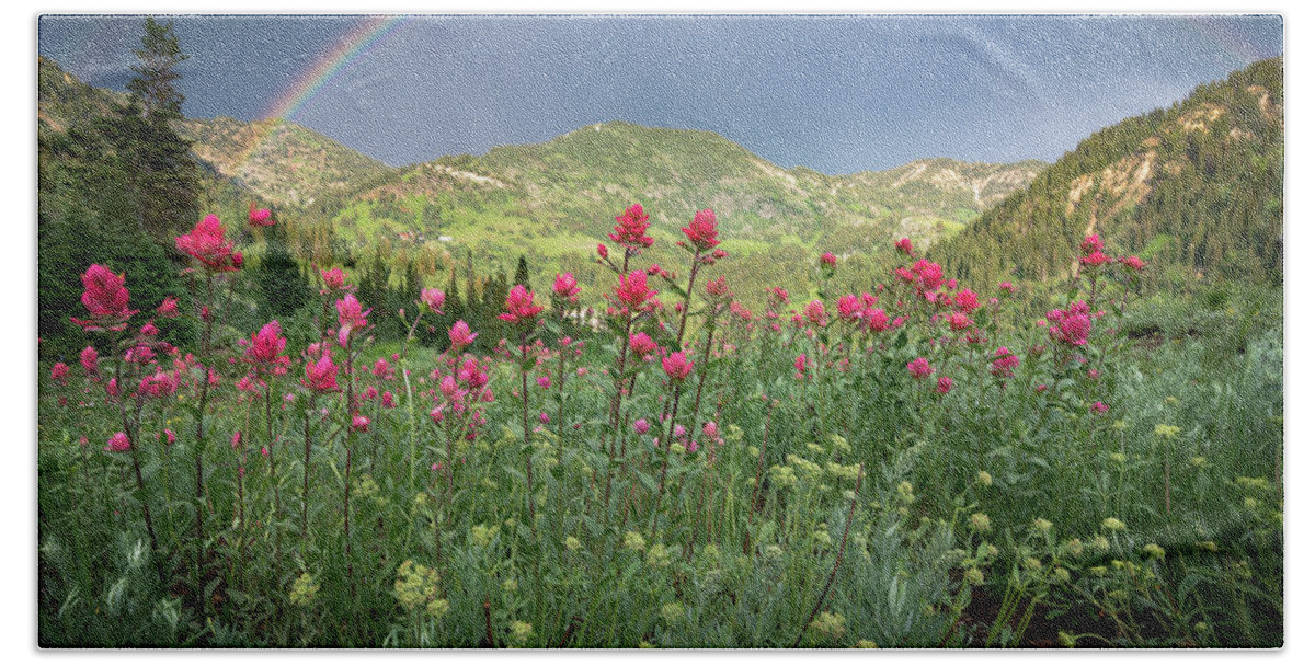 Utah Beach Towel featuring the photograph Rainbow and Wildflowers by James Udall
