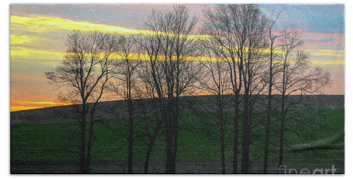 Sunrise Beach Sheet featuring the photograph Rainbow Color Tree Horizon by Joann Long