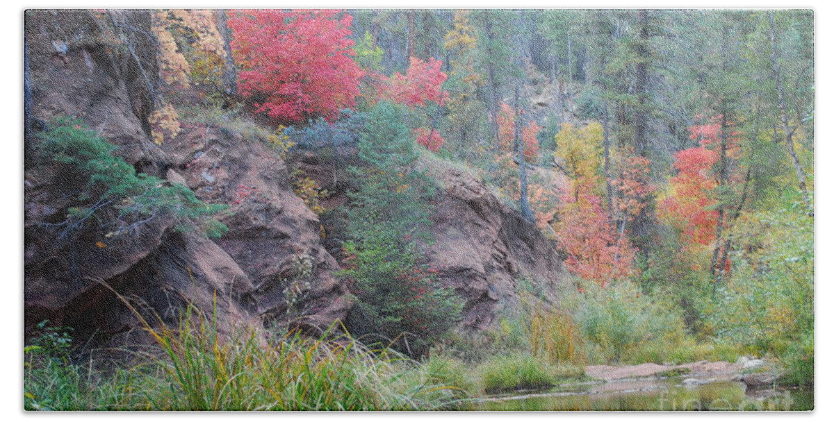 Sedona Beach Sheet featuring the photograph Rainbow of the Season with River by Heather Kirk