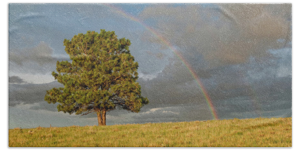 Arizona Beach Towel featuring the photograph Rainbow Over a Lone Tree by Jeff Goulden
