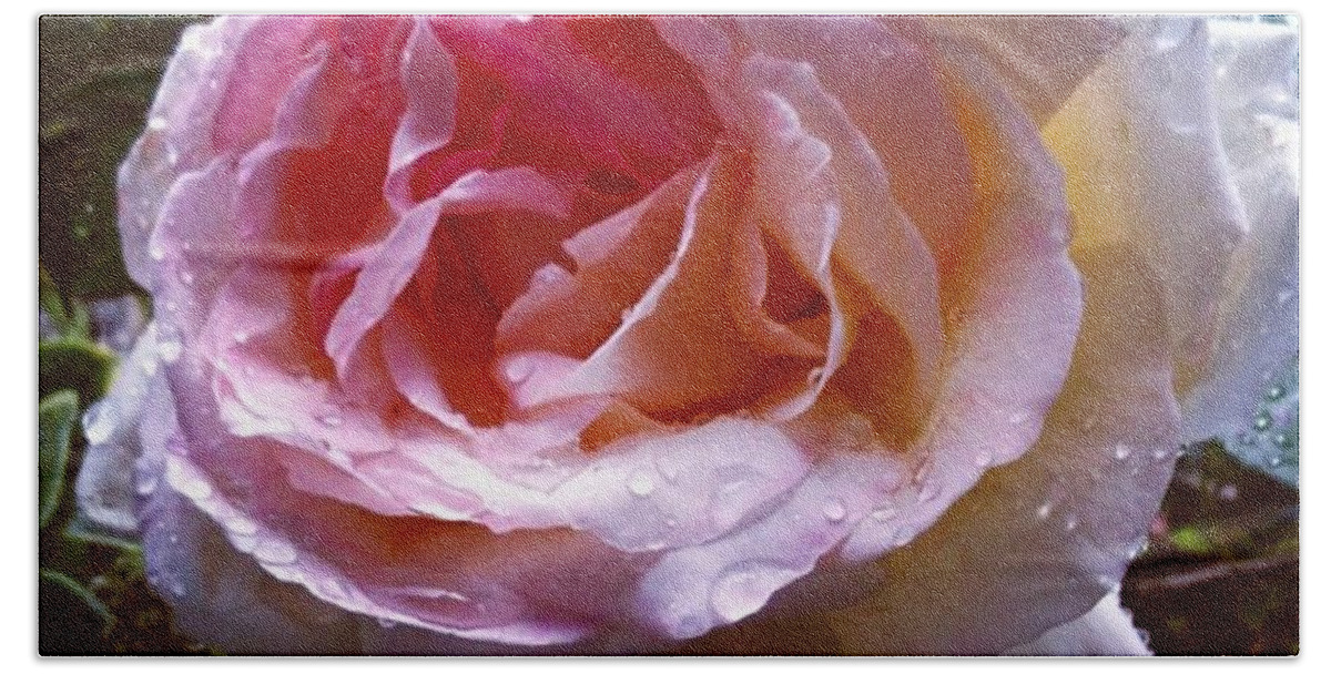 Rain Beach Towel featuring the photograph Raindrops on Roses by Denise Railey