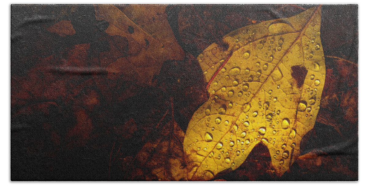Raindrops Beach Towel featuring the photograph Raindrops on the Fallen - ii by Mark Rogers