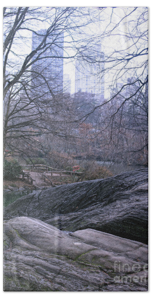 Park Beach Towel featuring the photograph Rainy Day in Central Park by Sandy Moulder