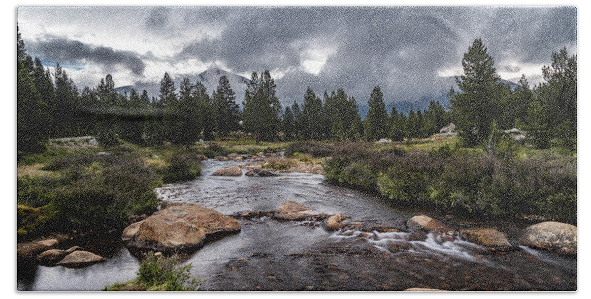 Water Beach Towel featuring the photograph Rainy Day in Yosemite by Cat Connor