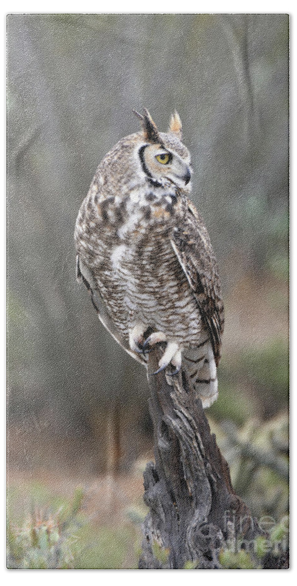 Denise Bruchman Beach Sheet featuring the photograph Rainy Day Owl by Denise Bruchman