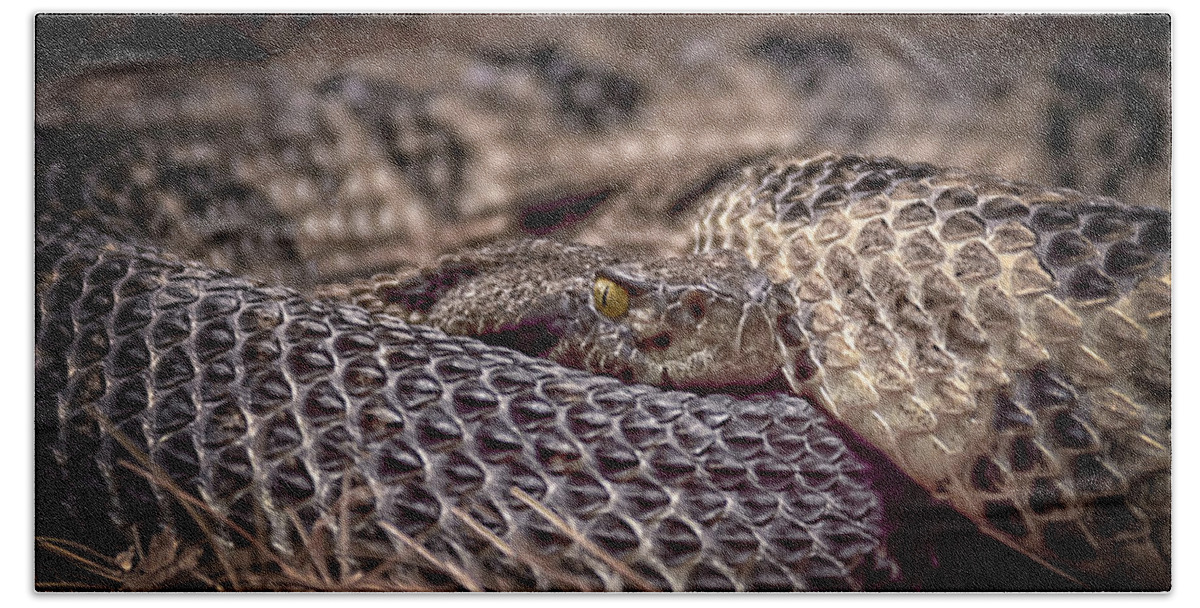 Snake Beach Towel featuring the photograph Rattle Snake by LeeAnn McLaneGoetz McLaneGoetzStudioLLCcom