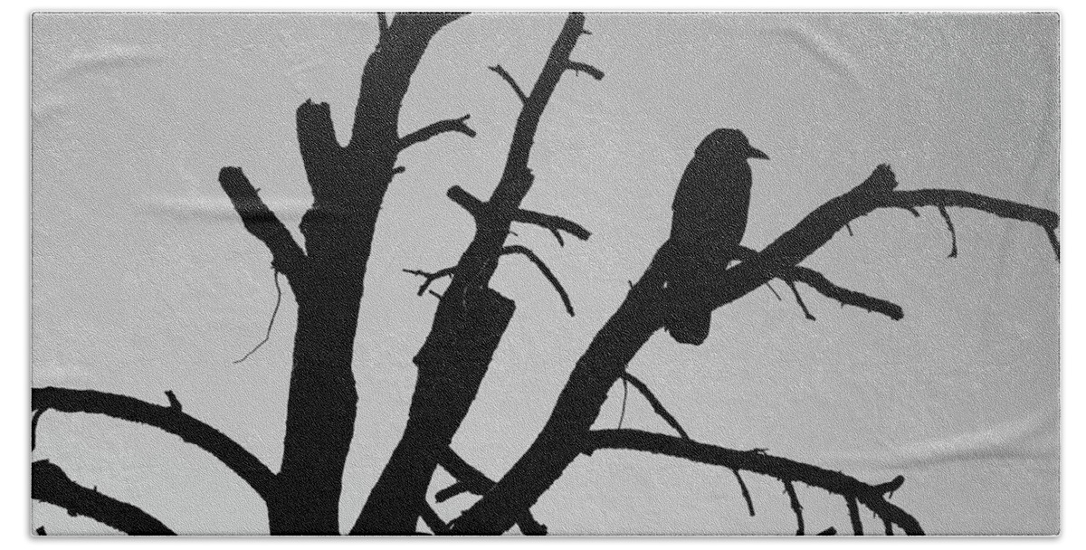Tree Beach Sheet featuring the photograph Raven Tree II BW by David Gordon