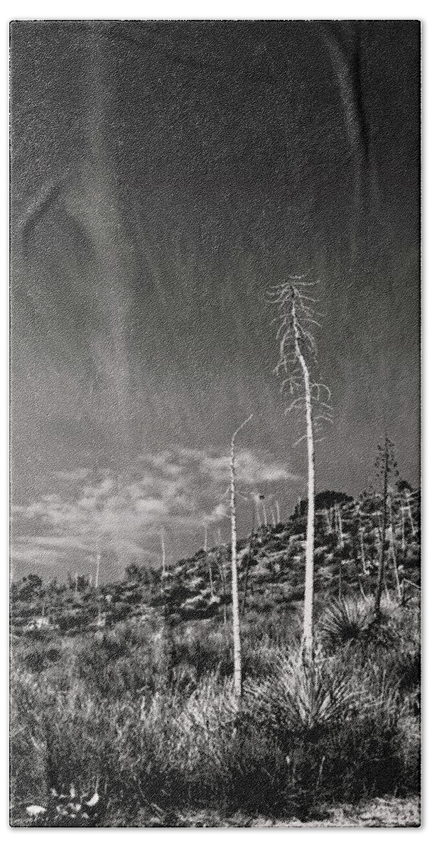 Yucca Beach Sheet featuring the photograph Reaching for the Sky by Timothy Bulone