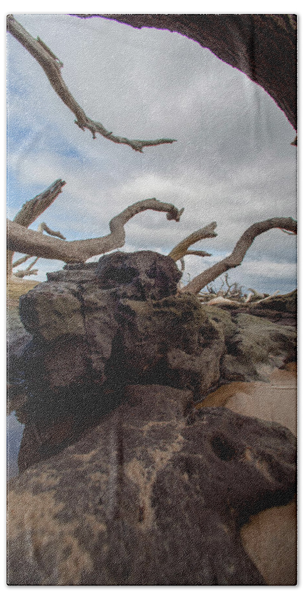 Spanish Beach Towel featuring the photograph Reaching by Robert Och