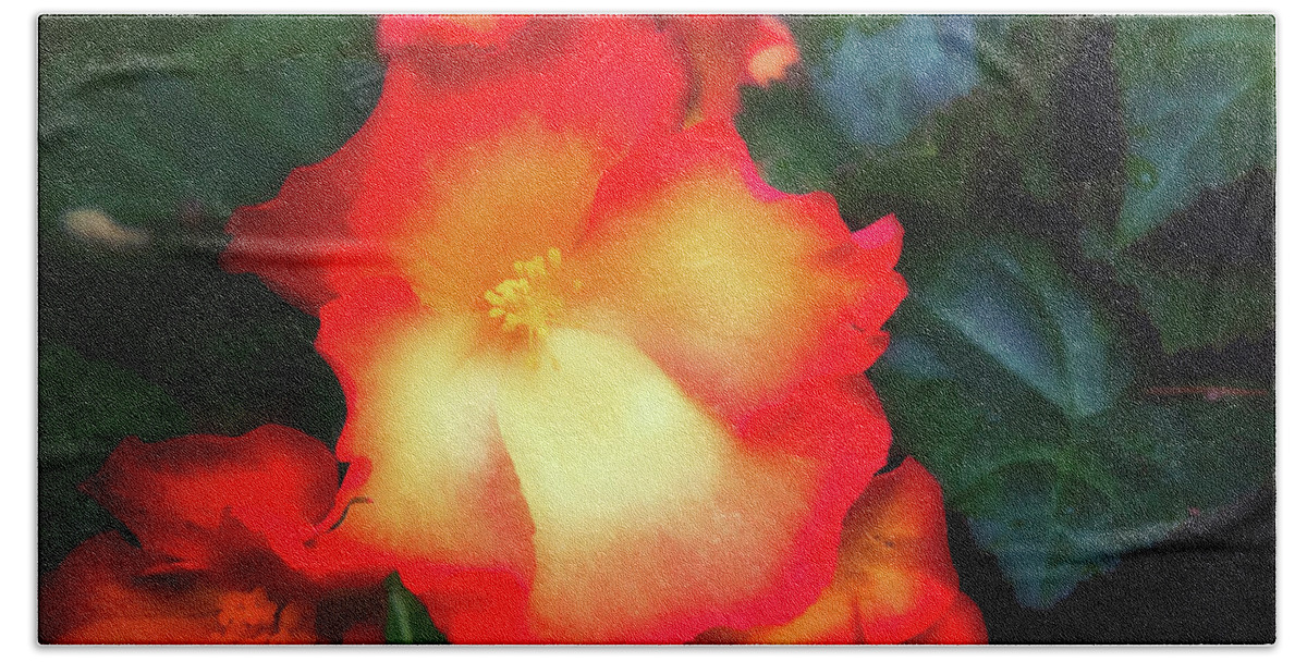 Flower Beach Sheet featuring the photograph Red and Yellow by Barry Weiss