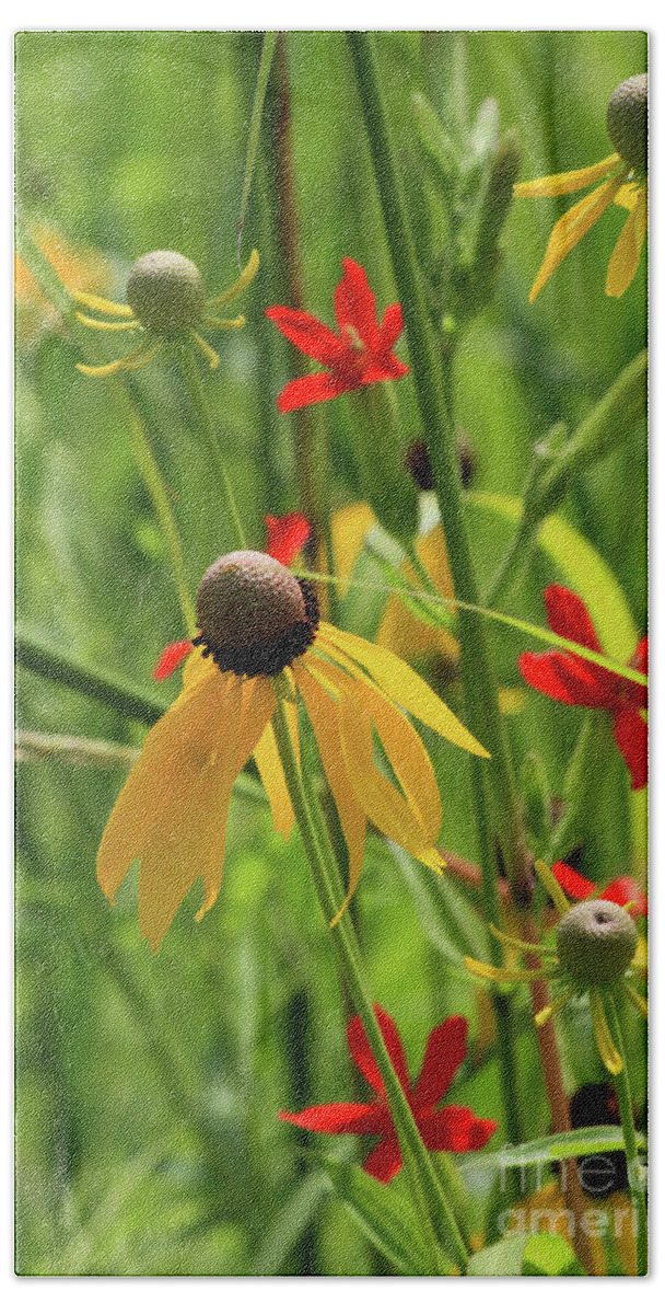 Yellow Coneflowers Beach Towel featuring the photograph Red and Yellow by Paula Guttilla