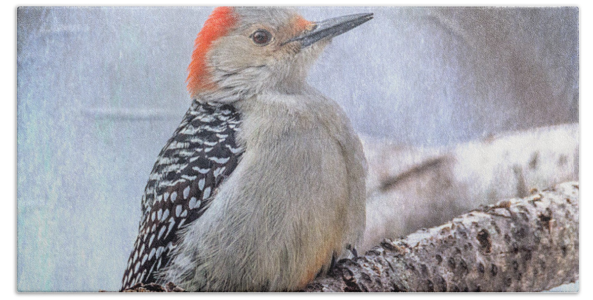 Woodpecker Beach Towel featuring the photograph Red-bellied Woodpecker by Patti Deters