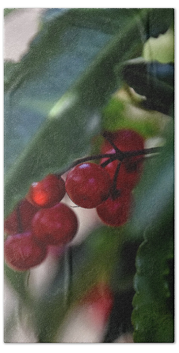 Red Beach Sheet featuring the photograph Red Berry by Kuni Photography