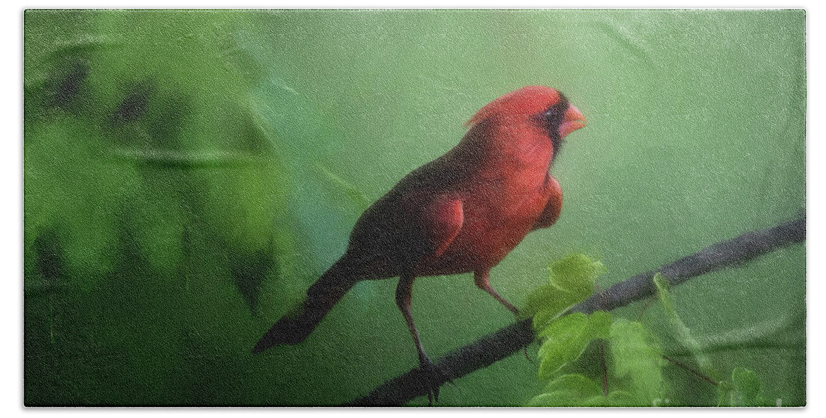 Cardinal Beach Towel featuring the digital art Red Bird On A Hot Day by Lois Bryan