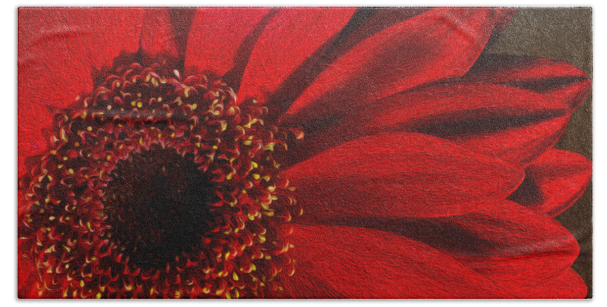Flower Beach Towel featuring the photograph Red Chrysanthemum Flower Bloom in Oil Painting Fusion by John Williams
