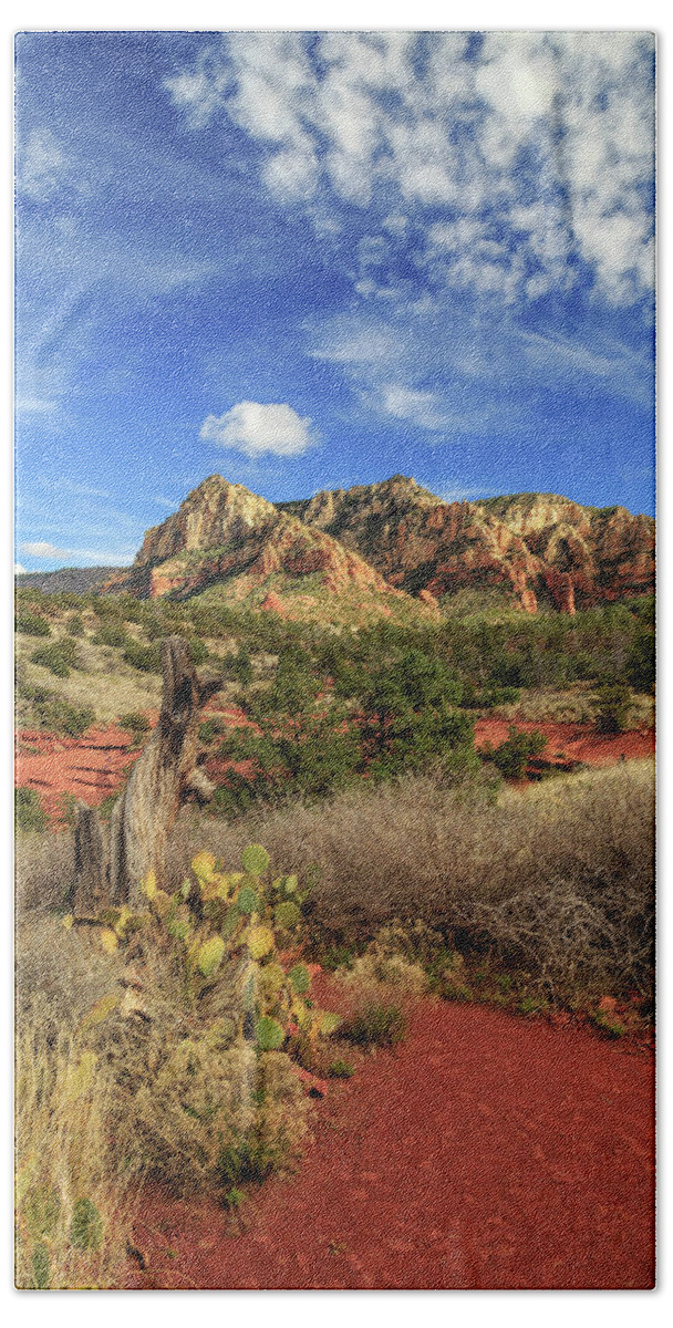Cactus Beach Towel featuring the photograph Red Dirt And Cactus In Sedona by James Eddy