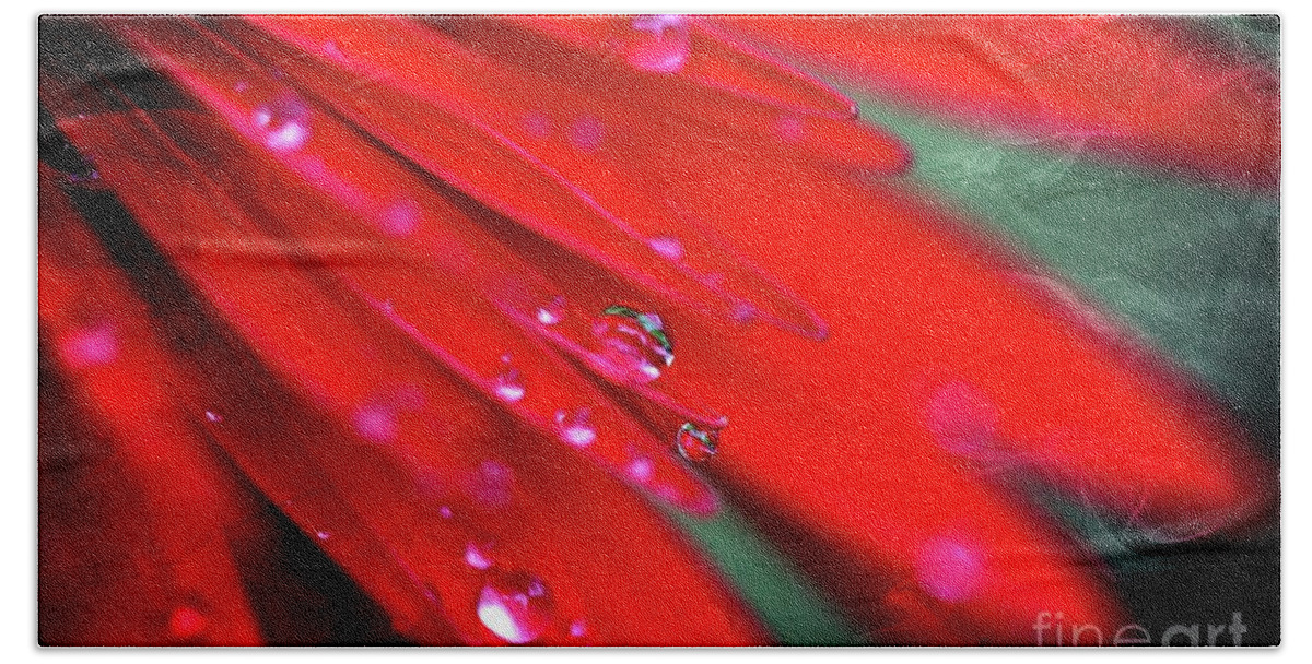 Flowers Beach Towel featuring the photograph Red droplets by Yumi Johnson