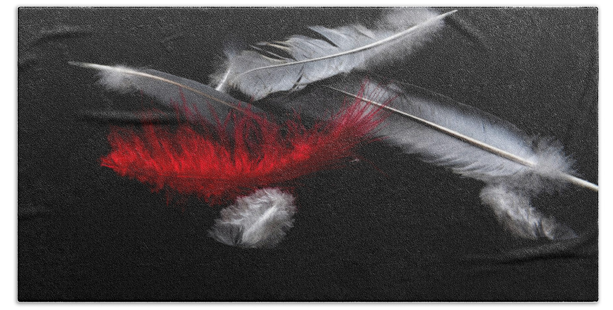 Red Feather Beach Towel featuring the photograph Red Feather by Randi Grace Nilsberg