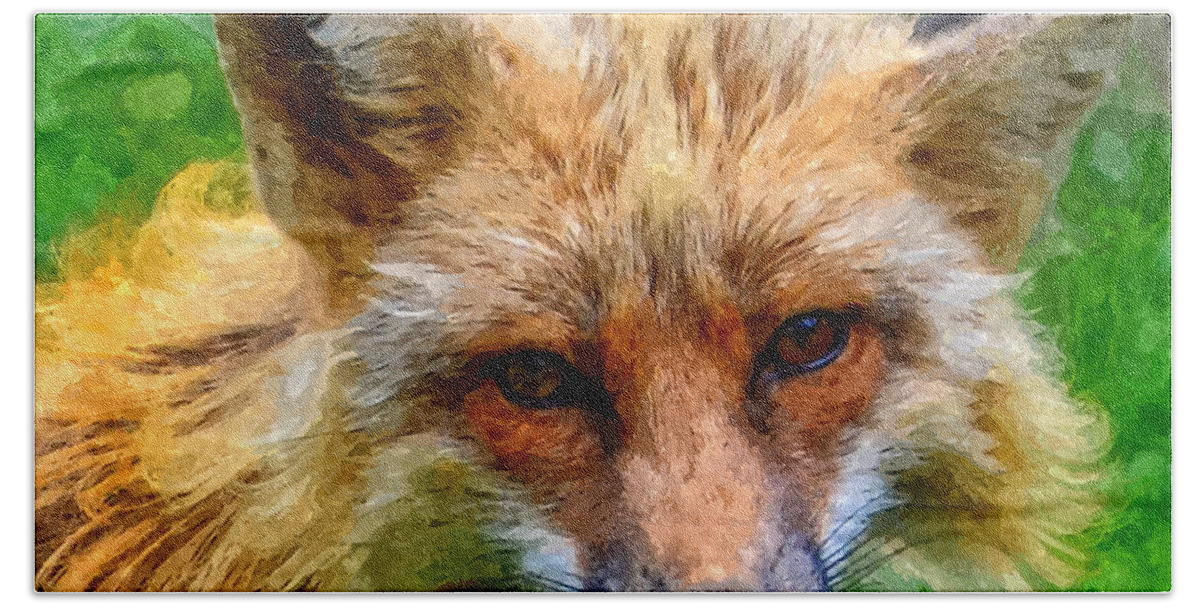 Fox Beach Towel featuring the photograph Red Fox by Anthony Murphy