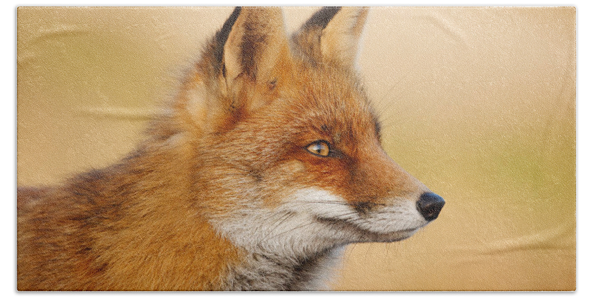 Red Fox Face Beach Towel For Sale By Roeselien Raimond