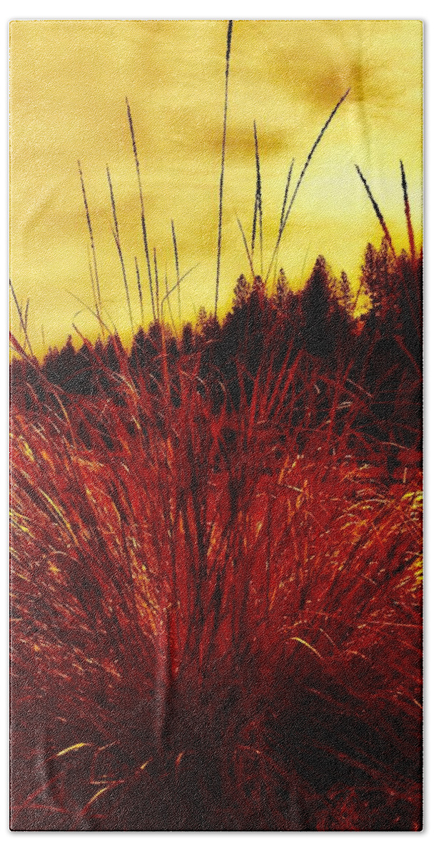Fall Beach Towel featuring the photograph Red Grass by Jennifer Lake