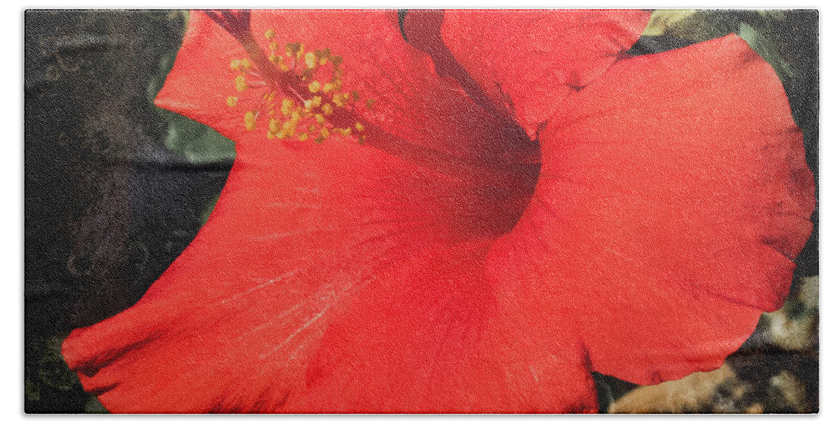 Hibiscus Beach Sheet featuring the photograph Red Hibiscus by Scott and Dixie Wiley