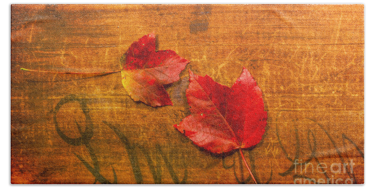 Red Leaves On Wood Still Life Beach Towel featuring the photograph Red Leaves on Wood Still Life by Randy Steele