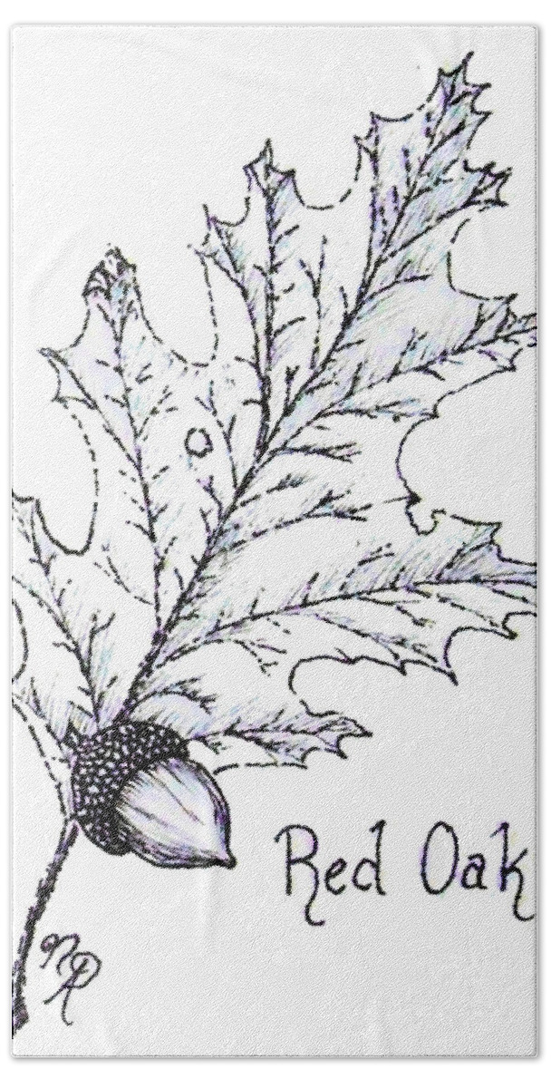 Red Oak Beach Sheet featuring the drawing Red Oak leaf and acorn by Nicole Angell