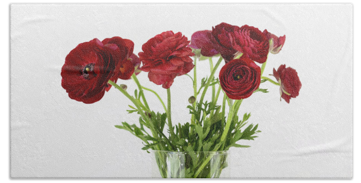 Red Ranunculus Beach Sheet featuring the photograph Red Ranunculus by Kim Hojnacki