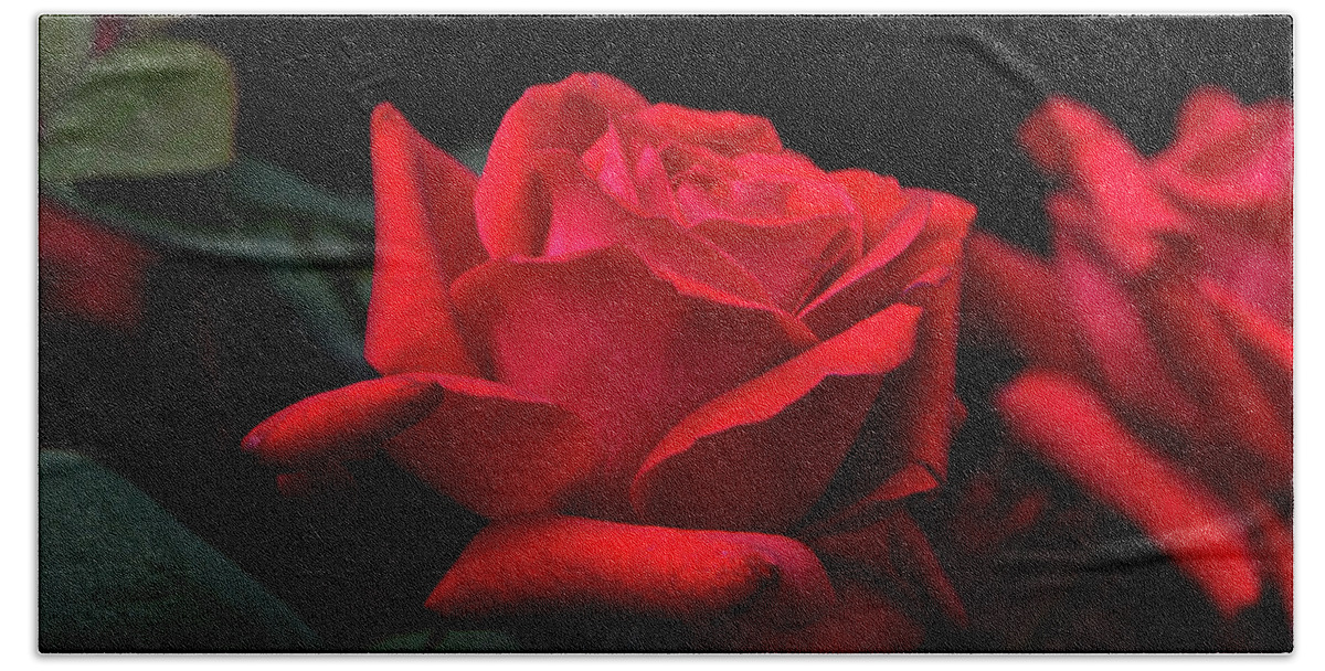 Rose Beach Sheet featuring the photograph Red Rose 014 by George Bostian