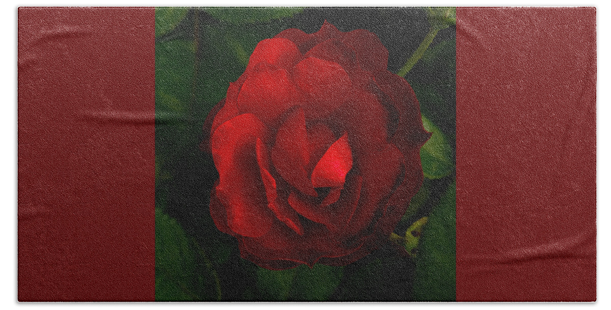 Red Rose Beach Towel featuring the photograph Red Rose by Don Spenner