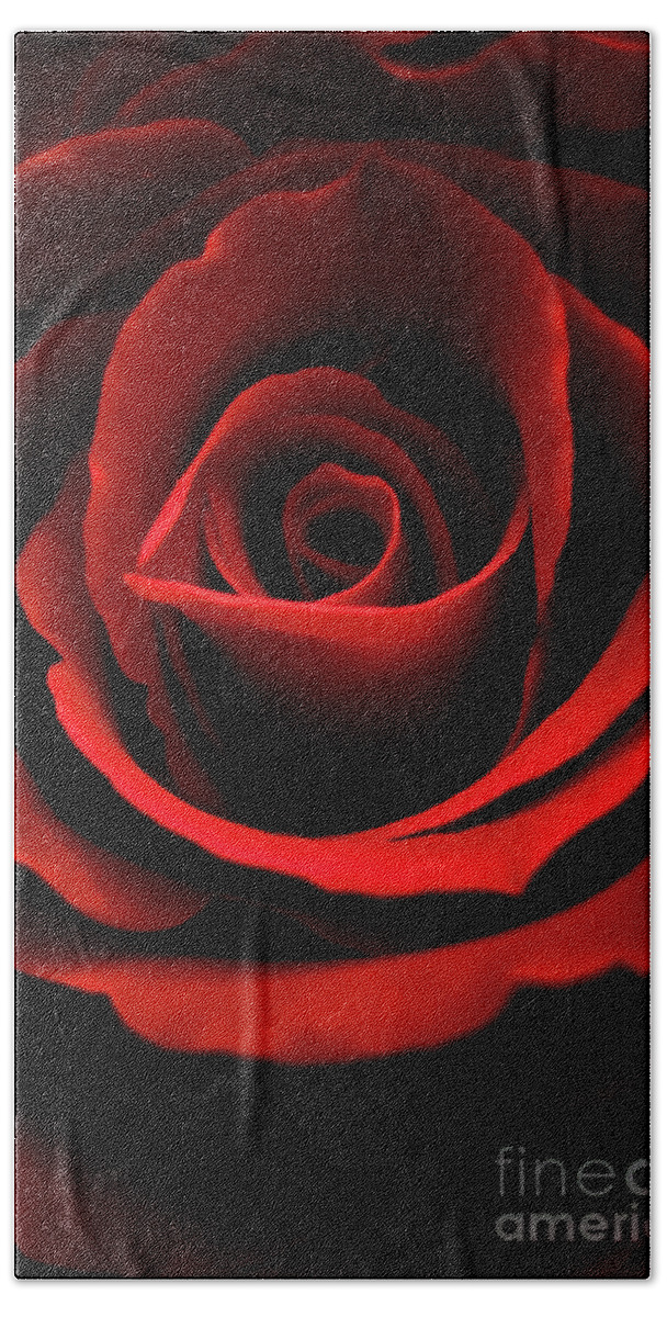 Rose Beach Towel featuring the photograph Red rose by Mariusz Talarek