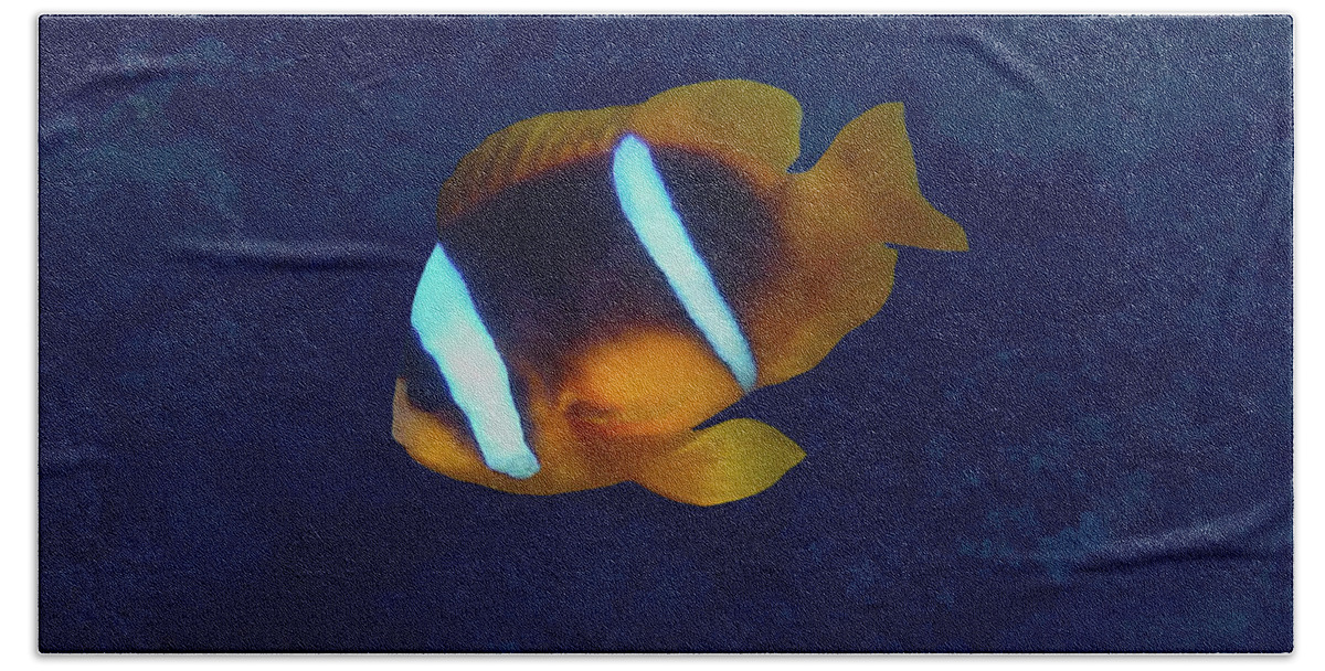 Sea Beach Towel featuring the photograph Red Sea Anemonefish On Blue by Johanna Hurmerinta