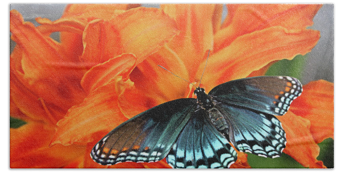 Red-spotted Purple Beach Towel featuring the photograph Red Spotted Fritillary by Kristin Elmquist