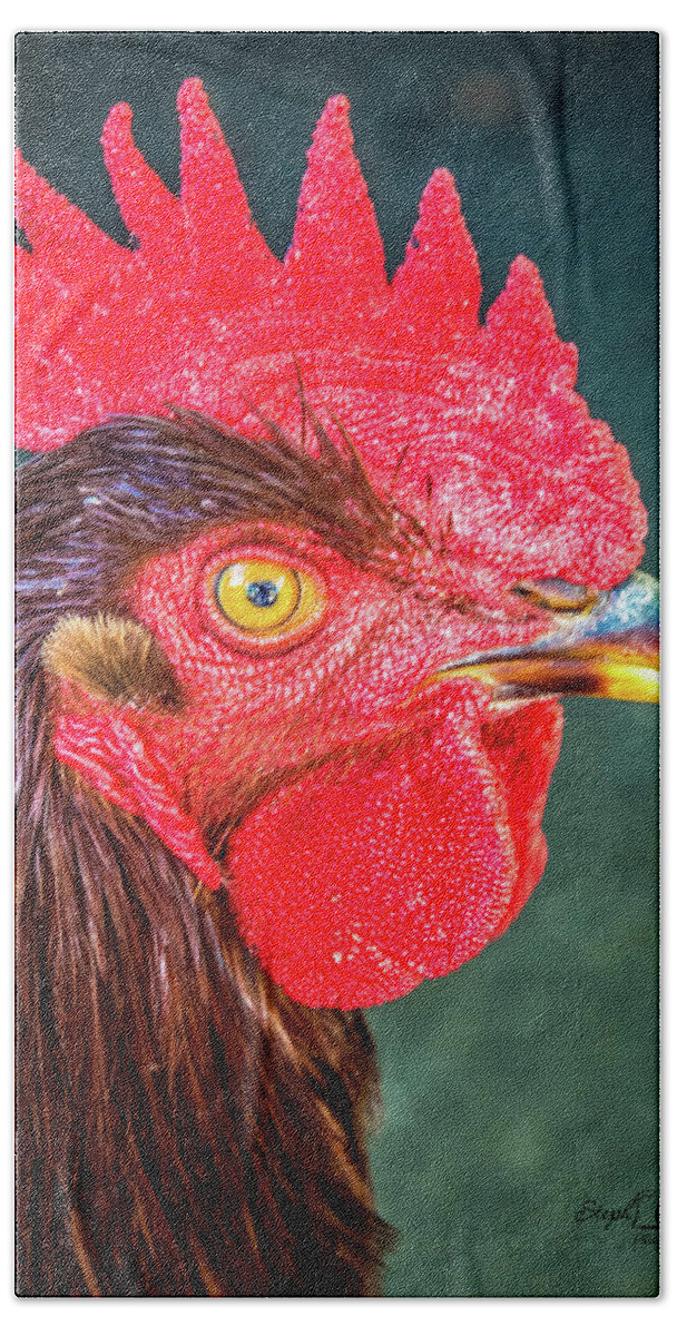 Rooster Beach Towel featuring the photograph Red by Steph Gabler