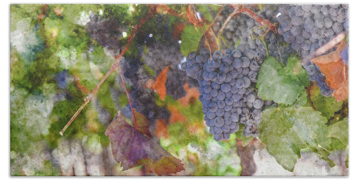Red Wine Beach Sheet featuring the photograph Red Wine Grapes on the Vine in Wine Country by Brandon Bourdages