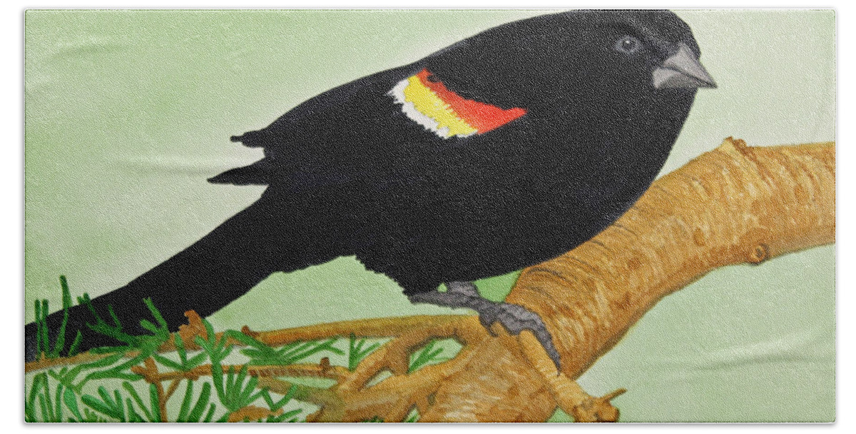 Redwing Blackbird Beach Towel featuring the painting Redwing Blackbird by Norma Appleton