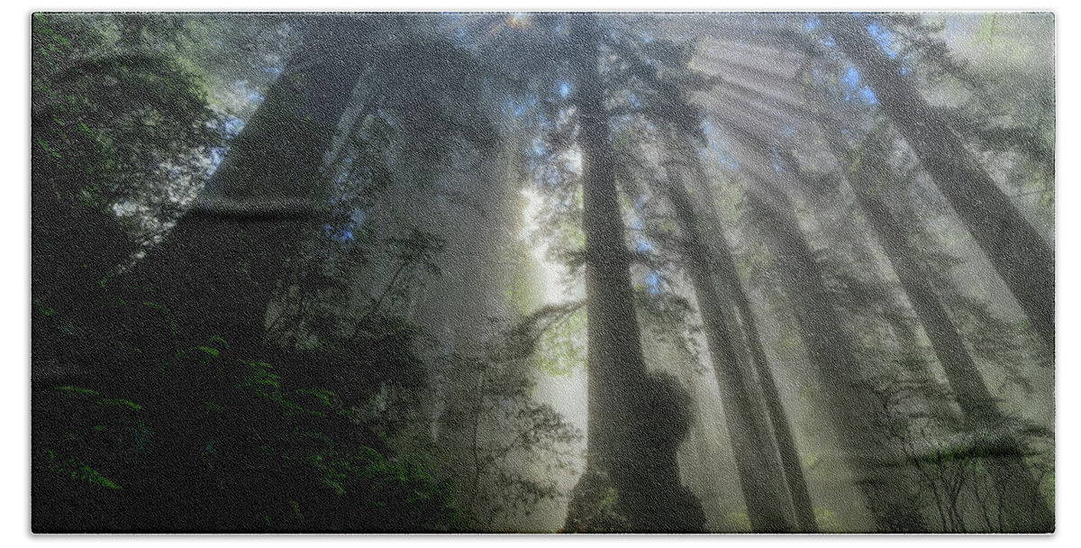 Redwood National Park Beach Towel featuring the photograph Redwood God Rays by Greg Norrell