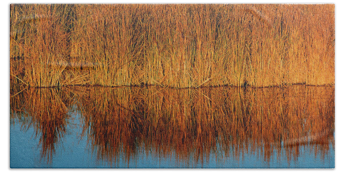 Colorado Beach Towel featuring the photograph Reflection by Jim Benest