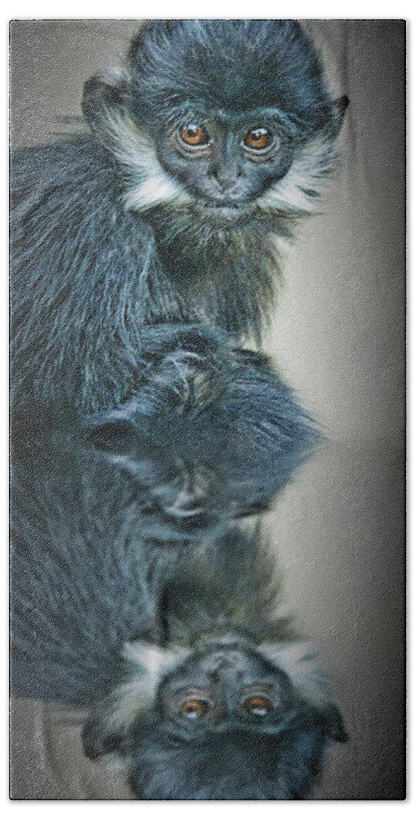 Francois Langur Monkey Beach Towel featuring the photograph Reflection of a Francois Langur Monkey by Jim Fitzpatrick