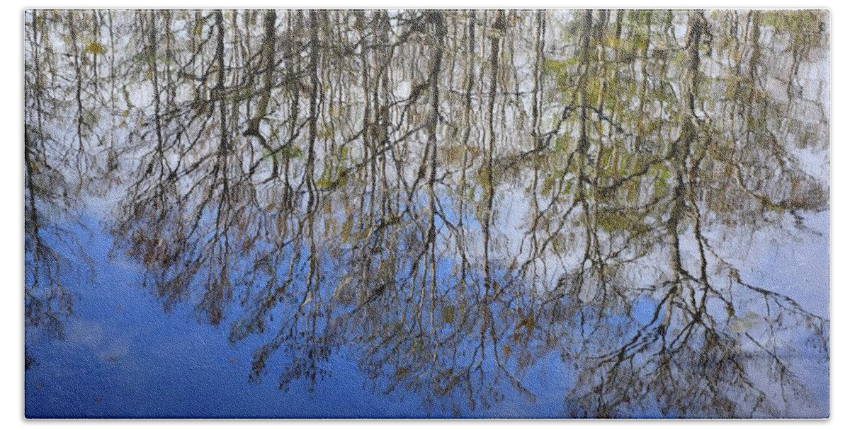 Florida Beach Sheet featuring the photograph Reflection Straight Up by Florene Welebny