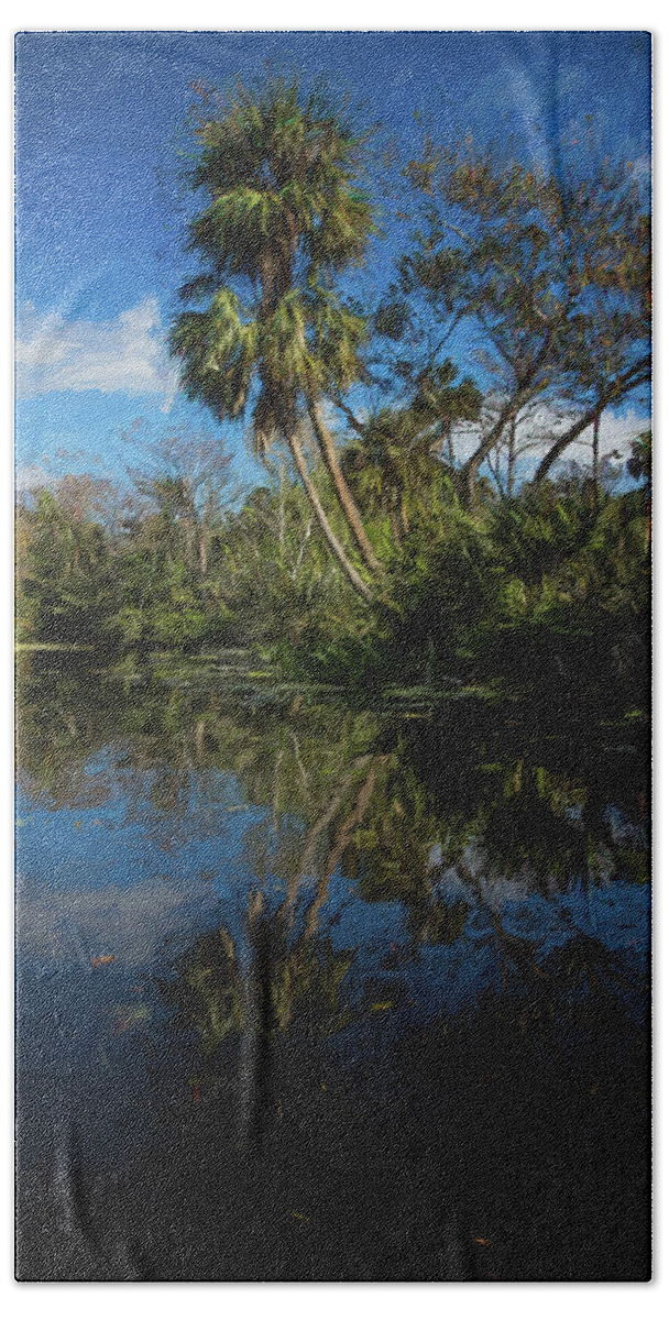 Clouds Beach Towel featuring the photograph Reflections in the Tropics Oil Painting by Debra and Dave Vanderlaan