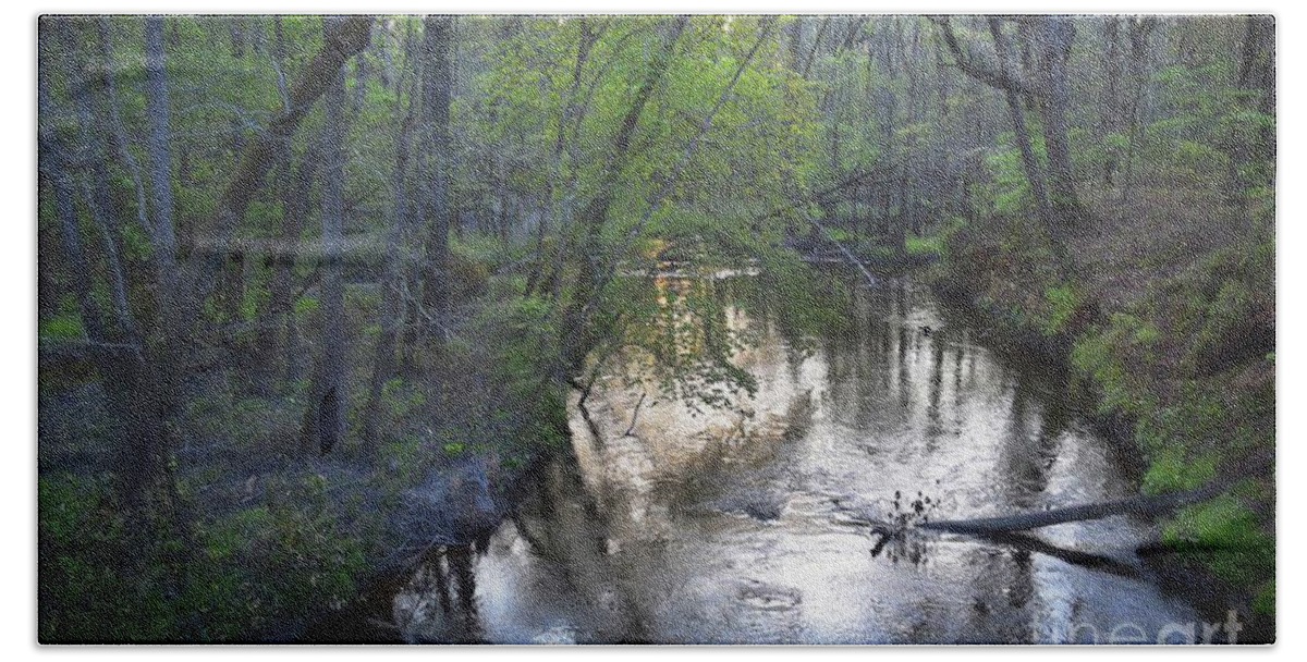 Nature Beach Sheet featuring the photograph Reflections On The Congaree Creek by Skip Willits