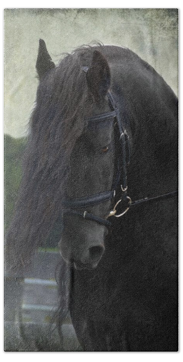 Horses Beach Towel featuring the photograph Remme by Fran J Scott
