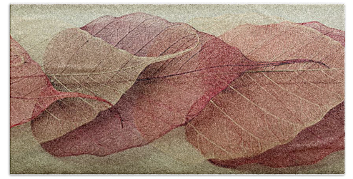 Leaves Beach Towel featuring the photograph Remnants of Summer Days by Maggie Terlecki
