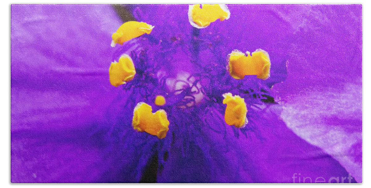 Revenge Of The Spiderwort Beach Towel featuring the photograph Revenge of the Spiderwort by Gary Holmes