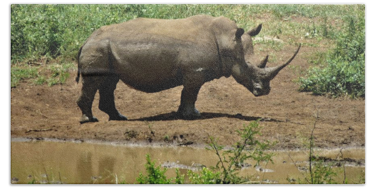 Rhino Beach Sheet featuring the photograph Rhino 2 by Vijay Sharon Govender