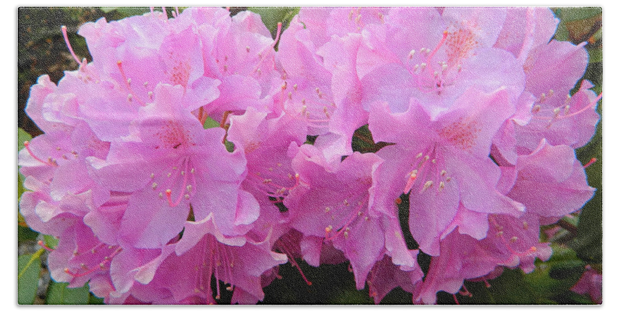 Rhododendron Beauty1 Beach Sheet featuring the photograph Rhododendron Beauty1 by Emmy Marie Vickers