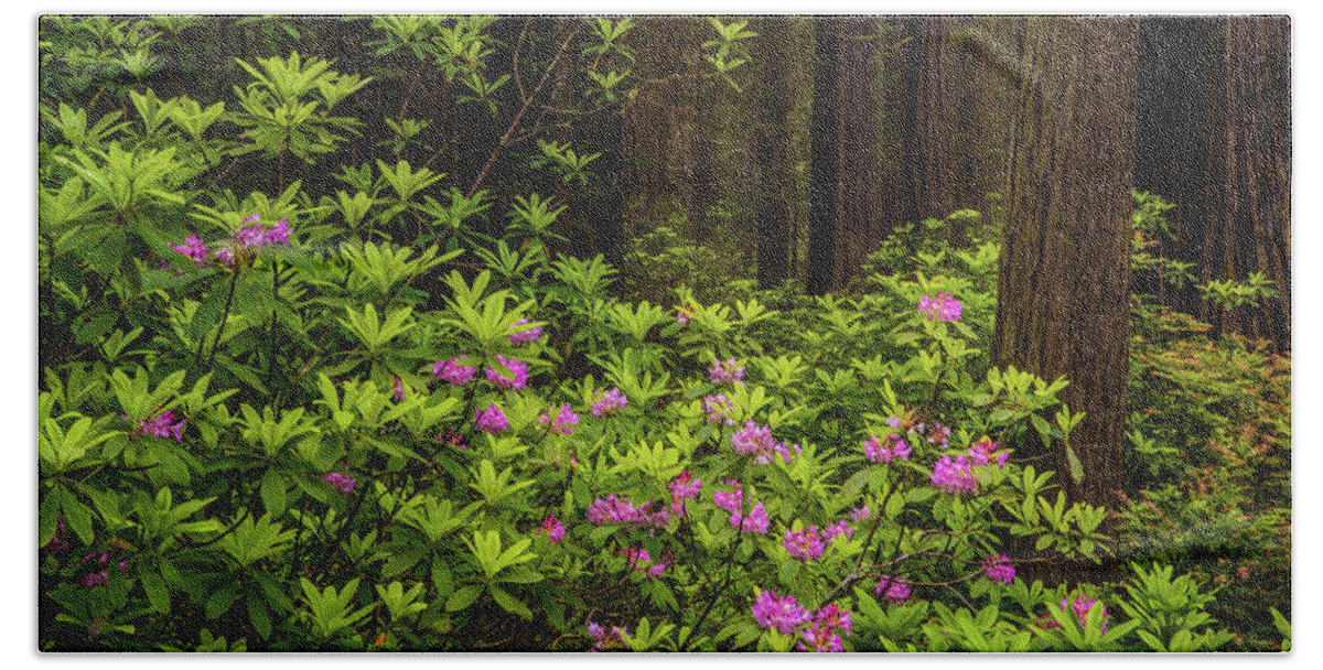 Mair's Photography Beach Towel featuring the photograph Rhododendrons. Redwood National Park, California by TL Mair